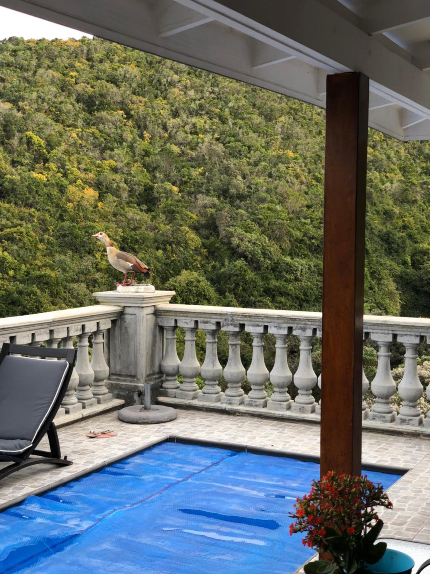 Livingstone Villa Уилдернесс Экстерьер фото